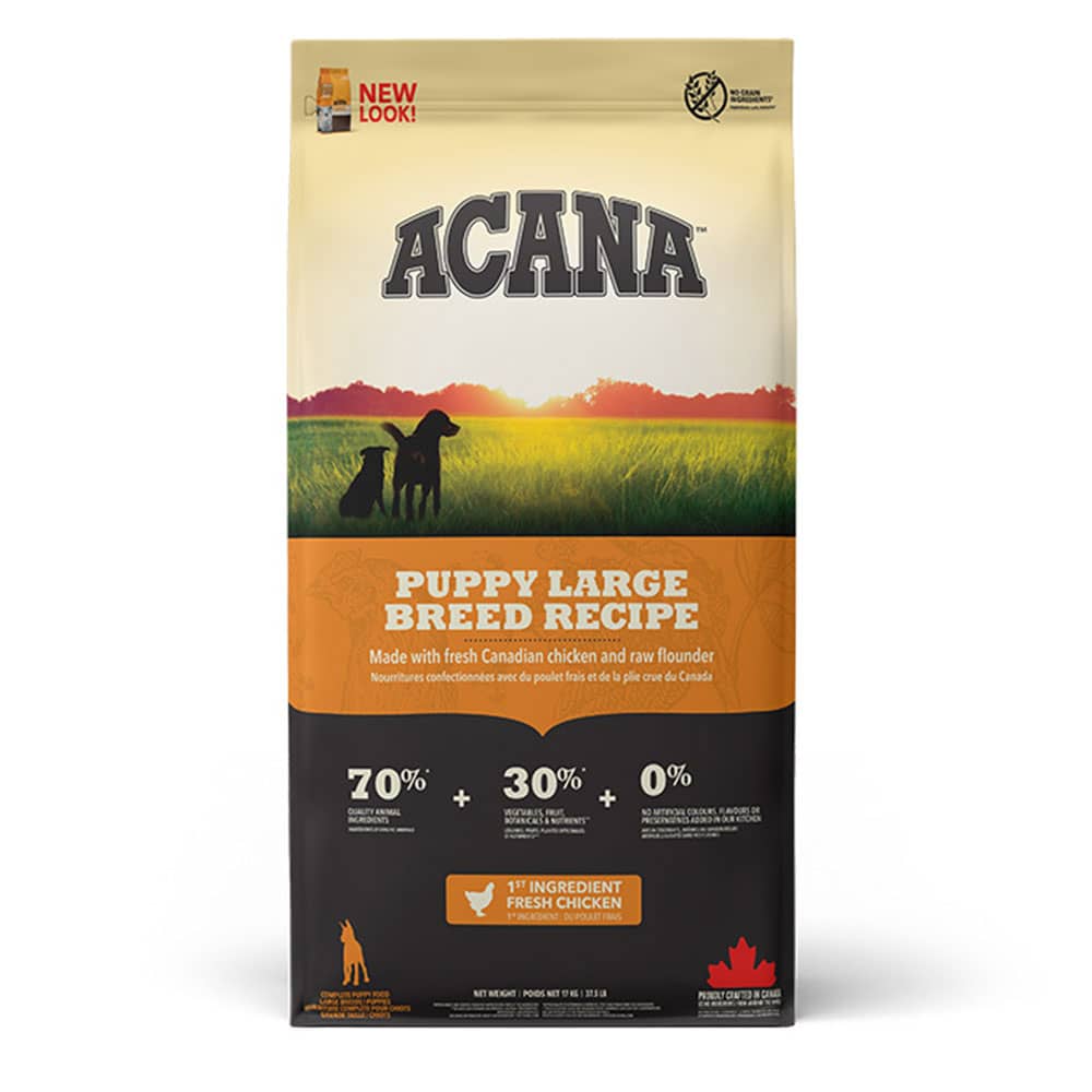 acana large breed dog food