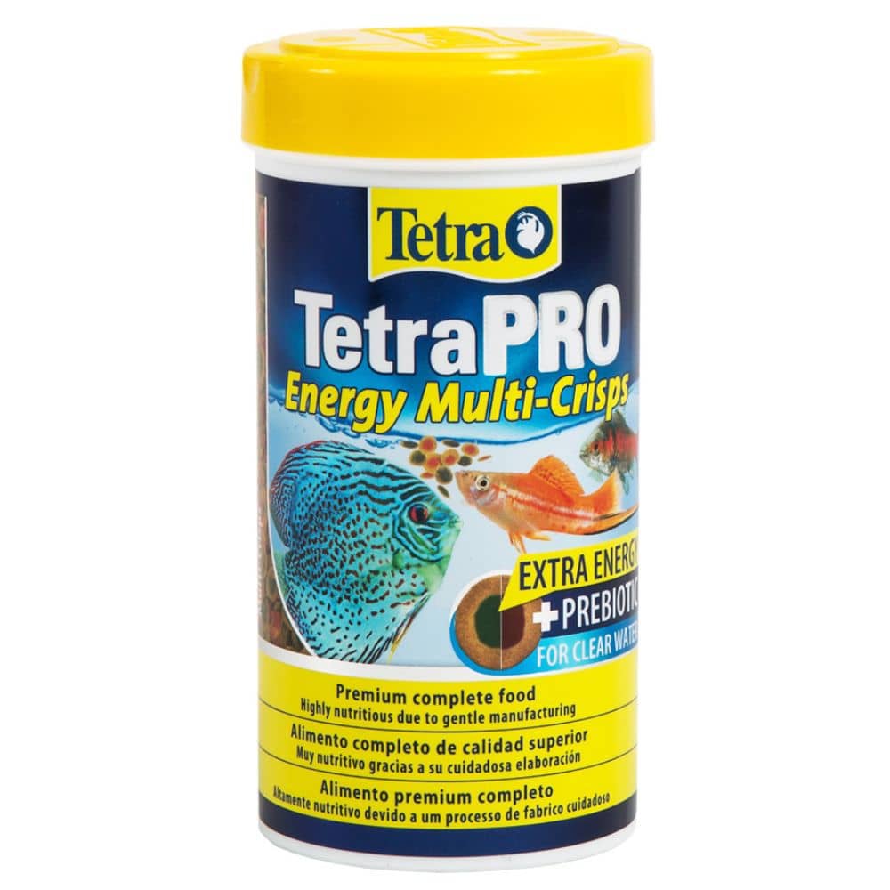 best food for tetra fish