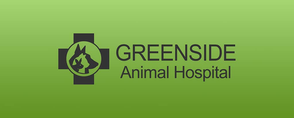 Greenside Animal Hospital partnered with Pet Hero