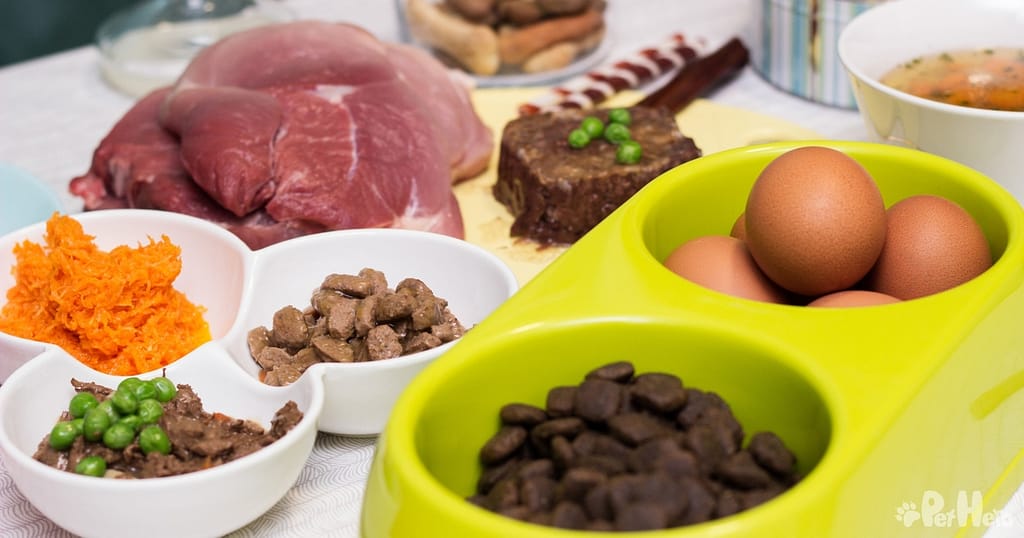 Dissecting The Ingredients What Is In Dog Food? Pet Hero