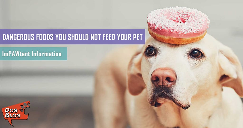 31 Dangerous Foods Dogs Can't Eat - Your Dog Advisor