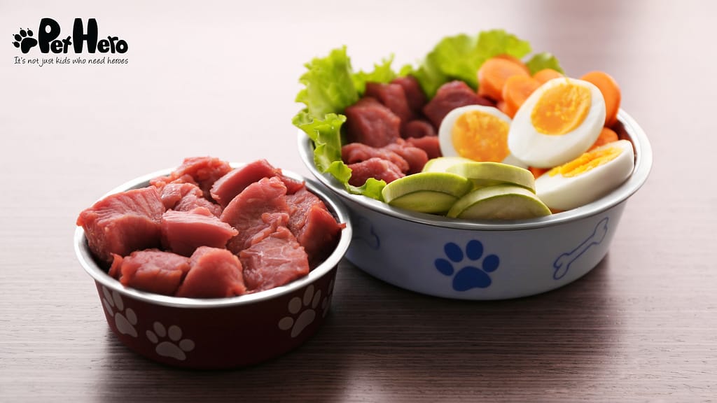 What Not to Feed a Dog That Has Seizures: Avoid These Harmful Foods