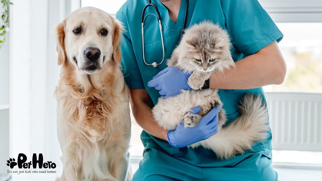 A step-by-step guide to your puppy’s health