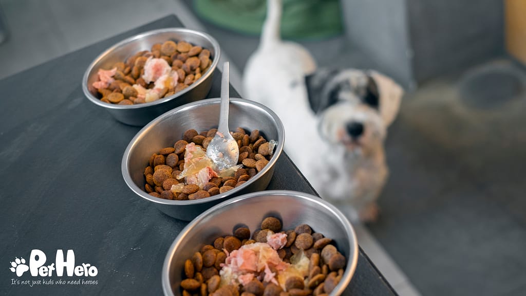iams dog food good for dogs Iams Puppy Lg Breed | Free* NJ Local Delivery