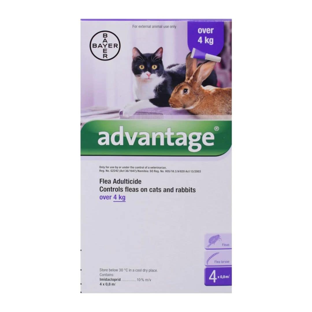 Advantage Flea Best Flea Remedy For Cats Advantage For Cats Pet Hero