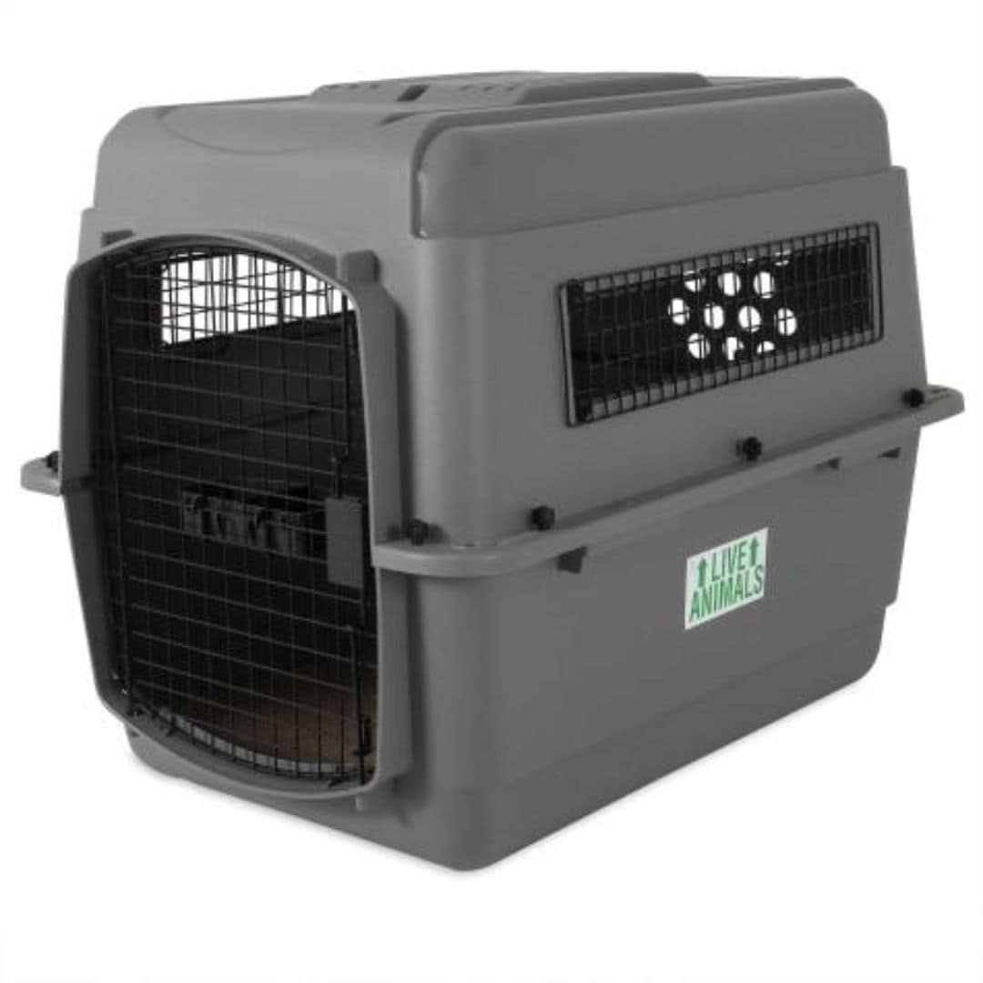 Petmate Sky Kennel Quality Dog Kennel Available Online Pet Hero