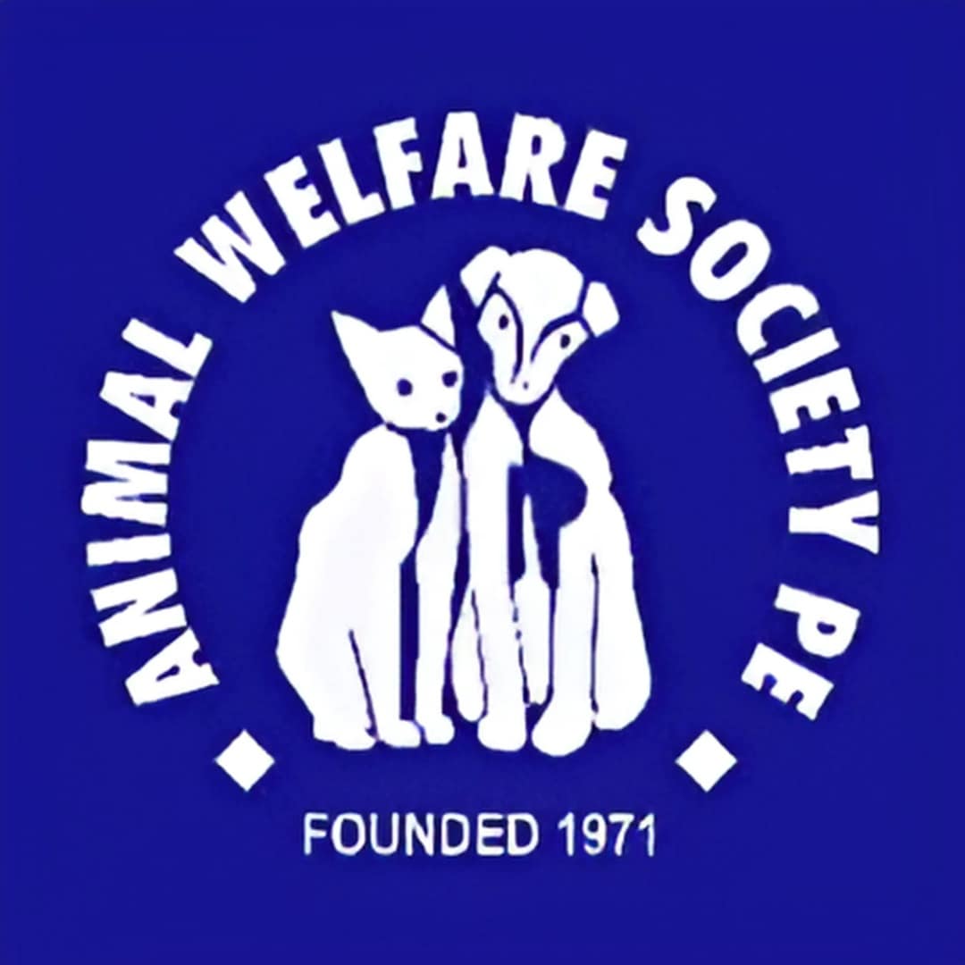 Donation Animal Welfare Society Port Elizabeth Pet Hero