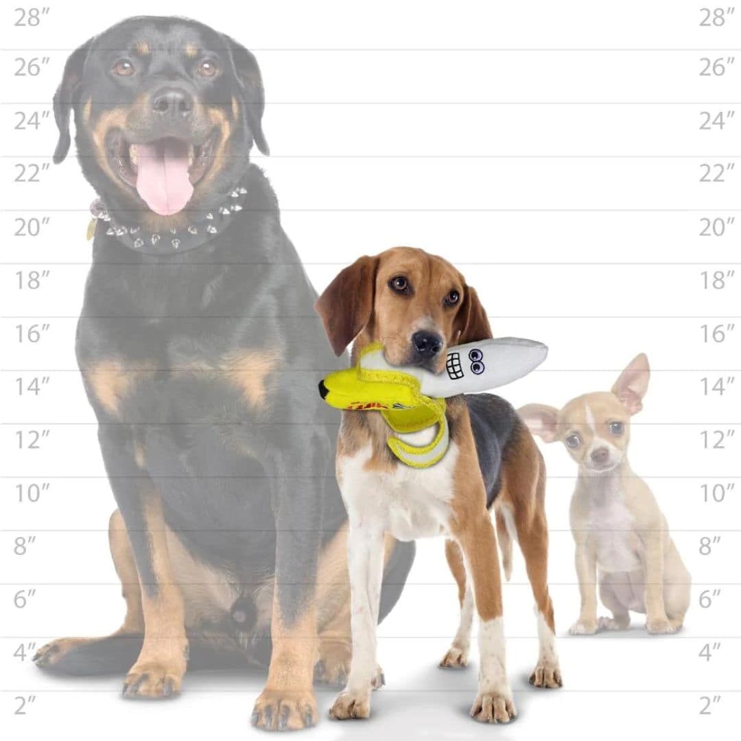 View of Tuffy Funny Food Banana Dog Toy | Pet Hero