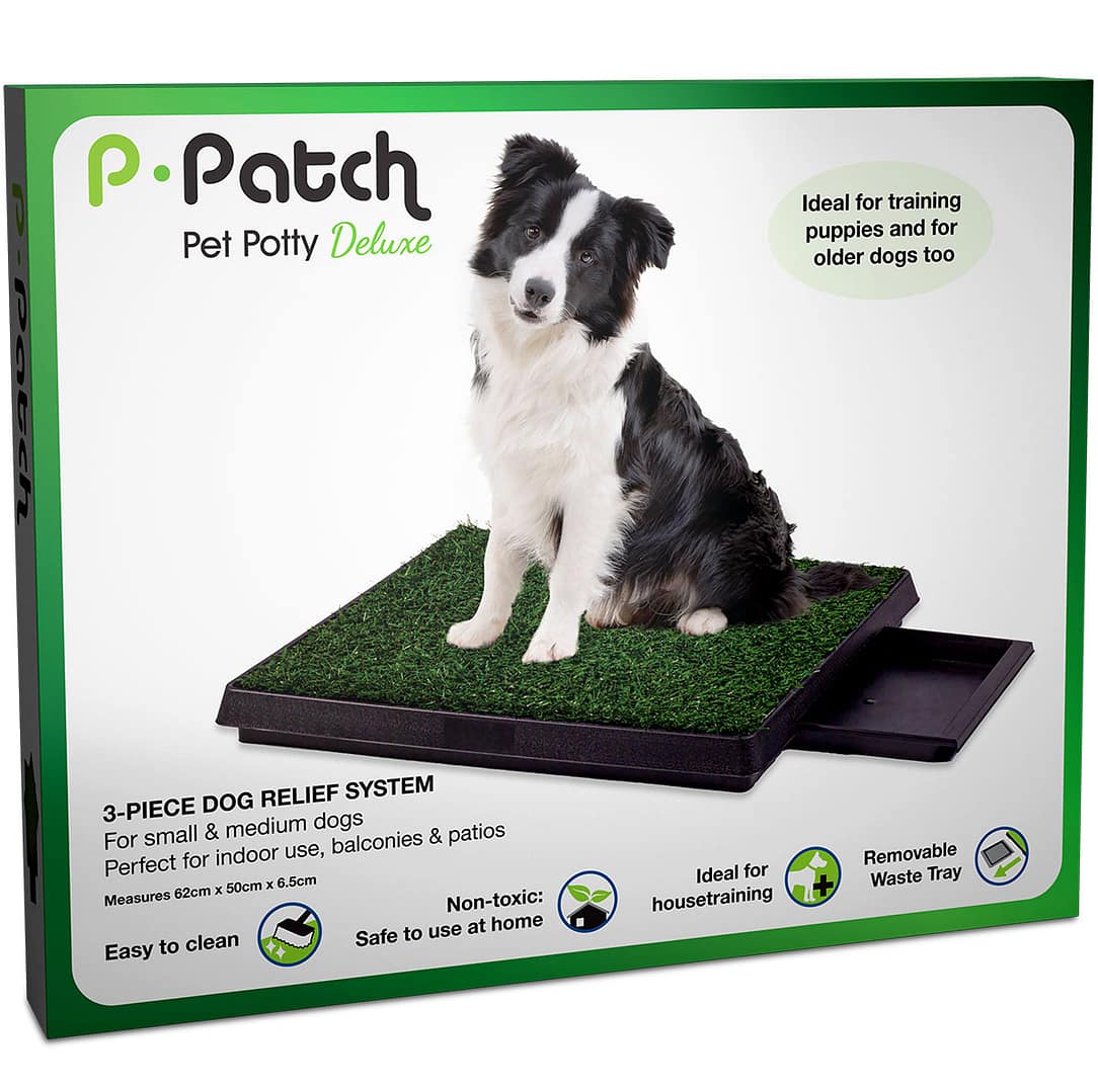 Pet Supplies Dog Eating Pee Pad Just For Puppy Training Pads Pets