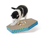 Petstages Wobble and Scratch Globe