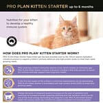 Pro Plan Kitten Starter Food - Salmon & Tuna