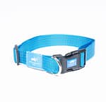 Animal Planet Classic Collar - Turquoise