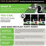 Pro-Plan-Puppy-Food