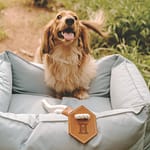Huntlea Dog Tug Toy with Hex Leather-2