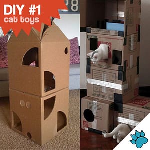 Cardboard cat clearance toys diy