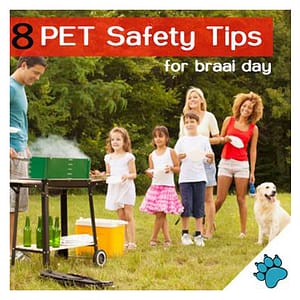 8 pet safety tips for braai day