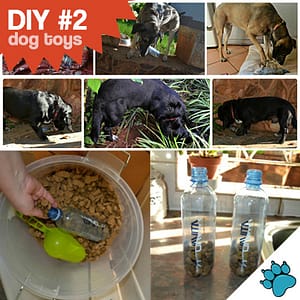 DIY - making your own dog toys