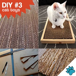 DIY - making your own cat toys
