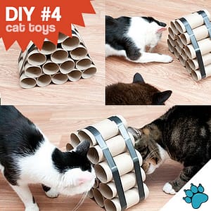DIY - making your own cat toys