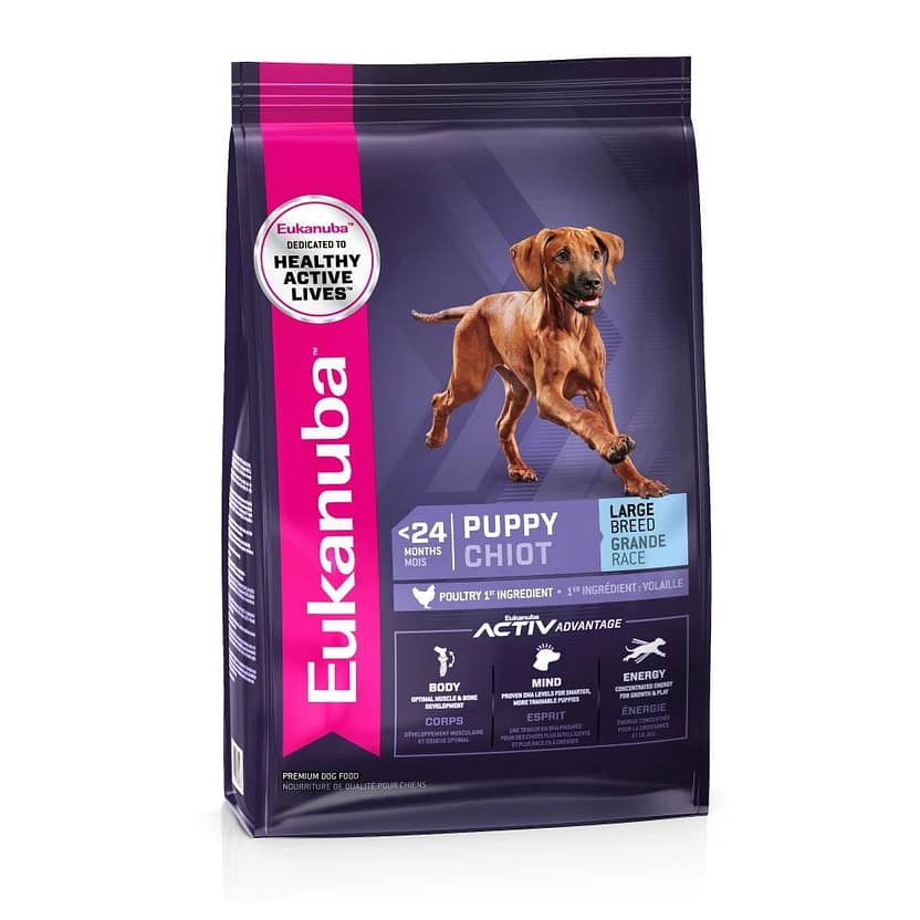 Is Eukanuba a Good Dog Food Brand: Expert Insights