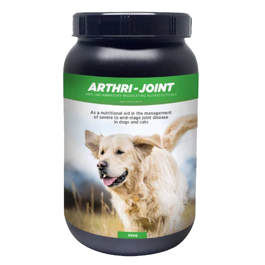 Anti inflammatory online dog food brands