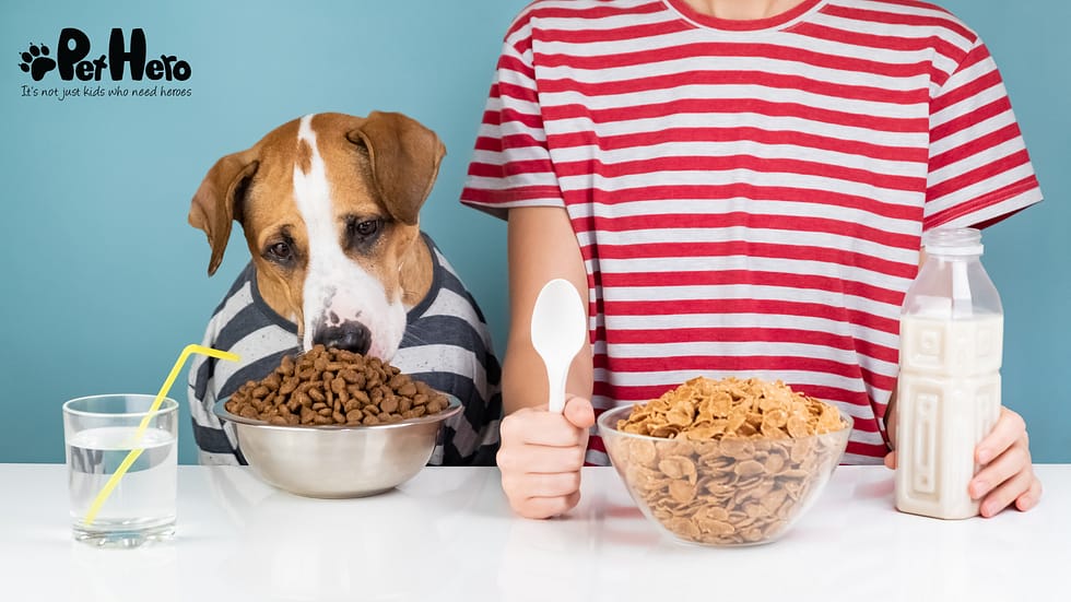 Can Food Cause Seizures in Dogs: Uncover the Truth