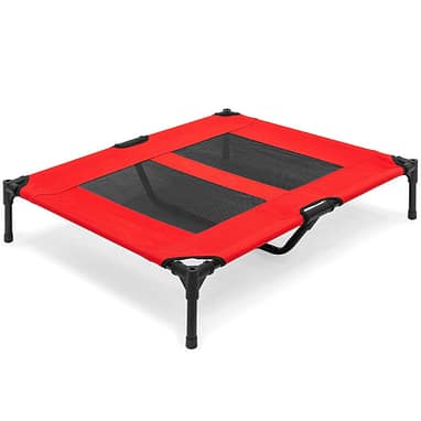 cot style dog beds