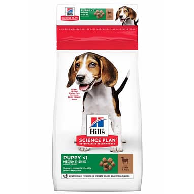 hill's science diet large breed puppy lamb and rice