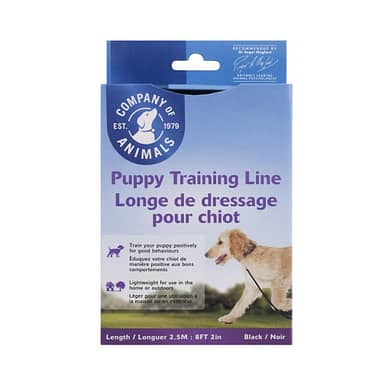 take the lead puppy training