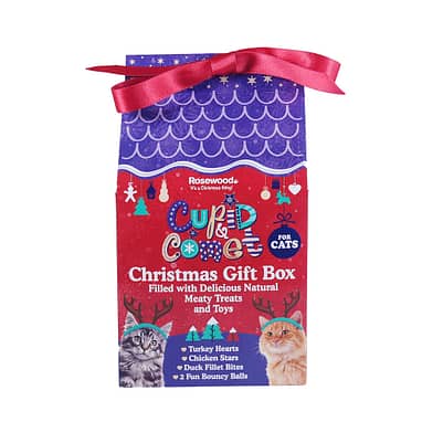 cat christmas treat box