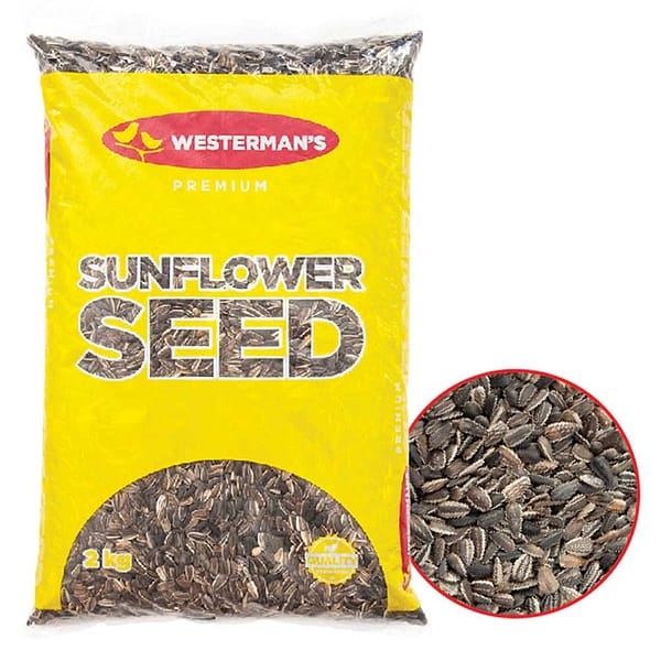 Westerman's Striped Sunflower Seed