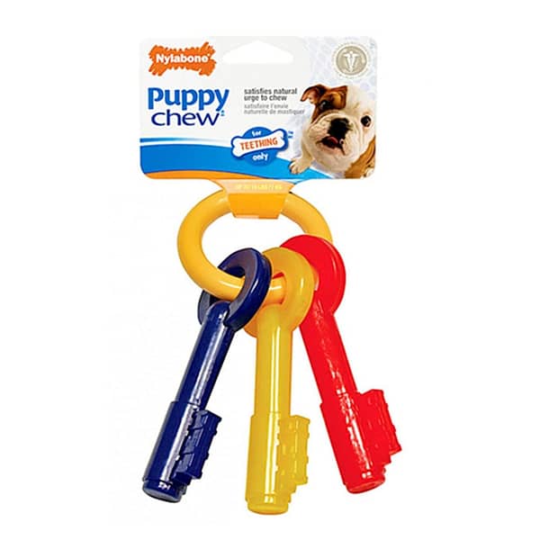 Nylabone Puppy Teething Keys (Bacon)