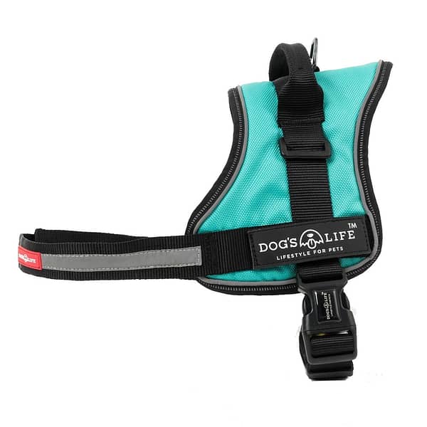 Dog's Life Active No Pull Control Handle Harness - Turquoise