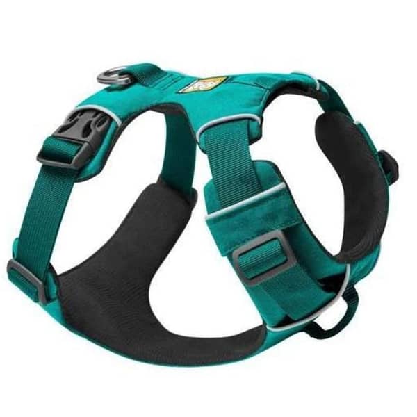 Which is better: a harness or a collar?