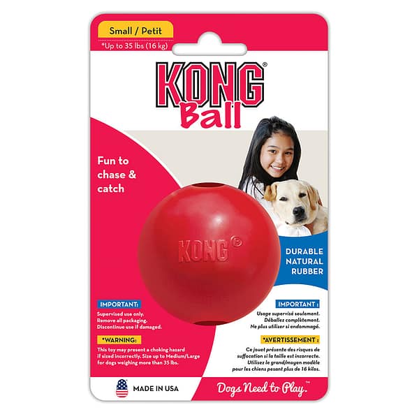 Kong Ball Dog Toy