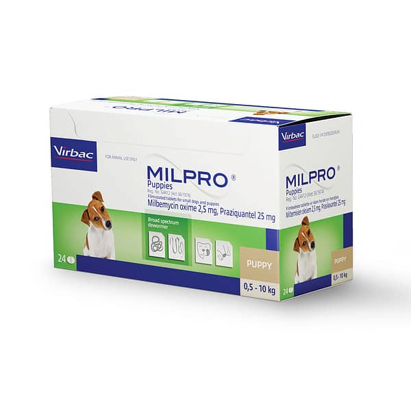 A step-by-step guide to your puppy’s health