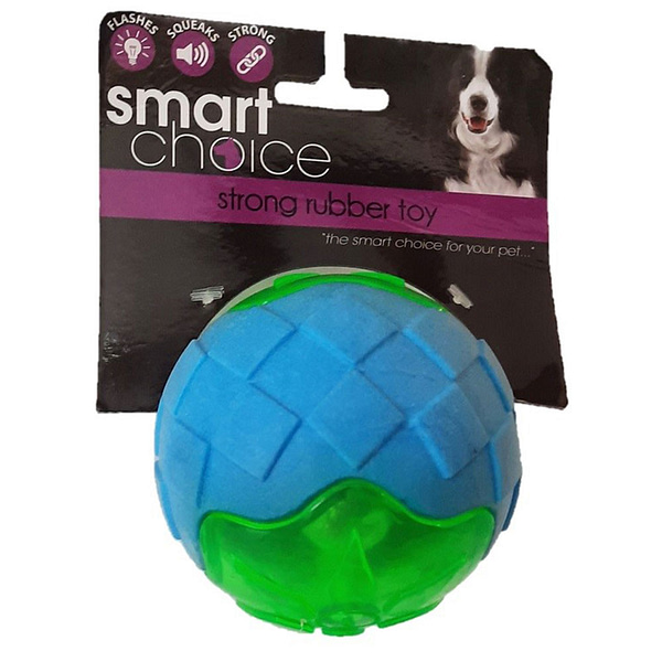 Smart Choice TPR Dog Toy with Squeak and Flash