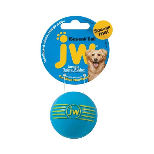 JW iSqueak Ball Dog Toy - Blue