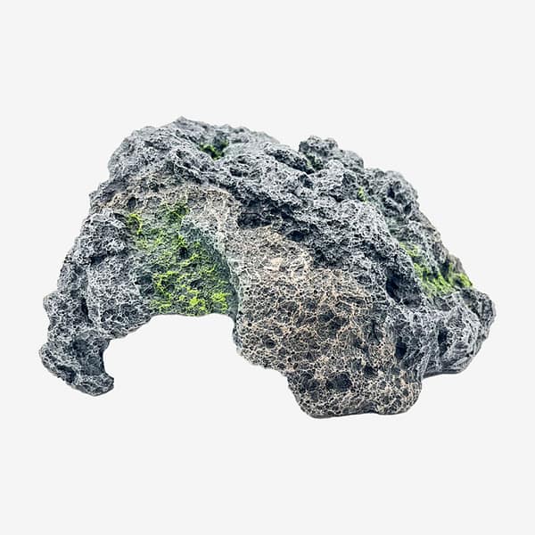 fish tank accessories cape town Easy Maintenance, Self-Cleaning Aquarium Kit | Lid | Waterfall Basin The Frutiger Aero Lamp Aquarium Rentals - Aqua Concepts