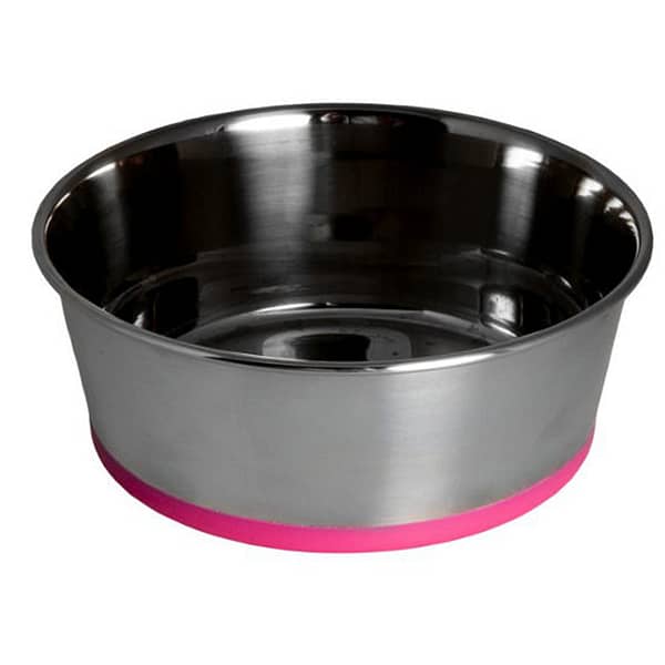 large shallow dog bowl