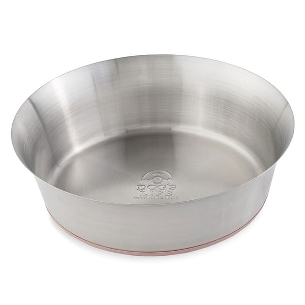 large shallow dog bowl