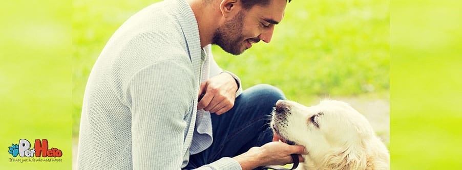 How do dogs make our lives better?
