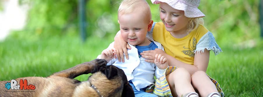 How pets affect your child