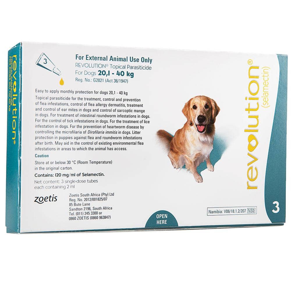 Large discount dog revolution