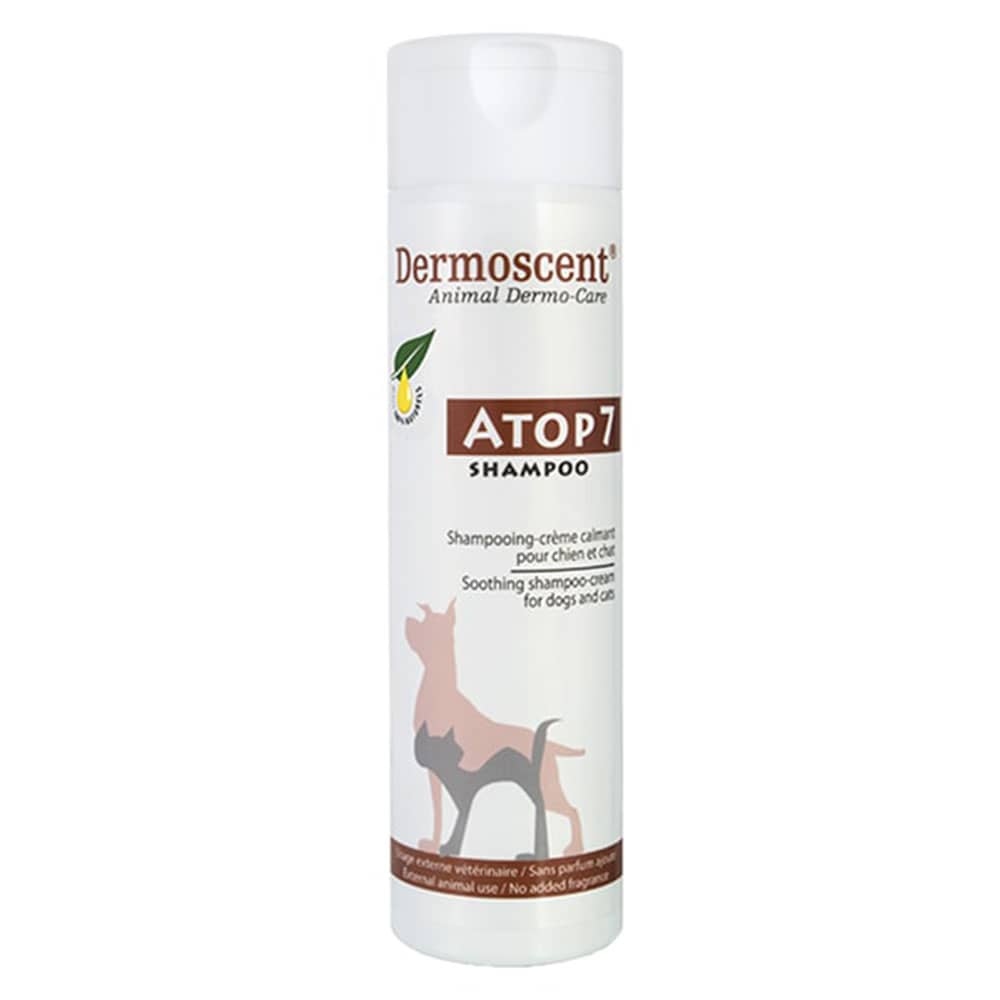 Shampoo for atopic dermatitis in clearance dogs