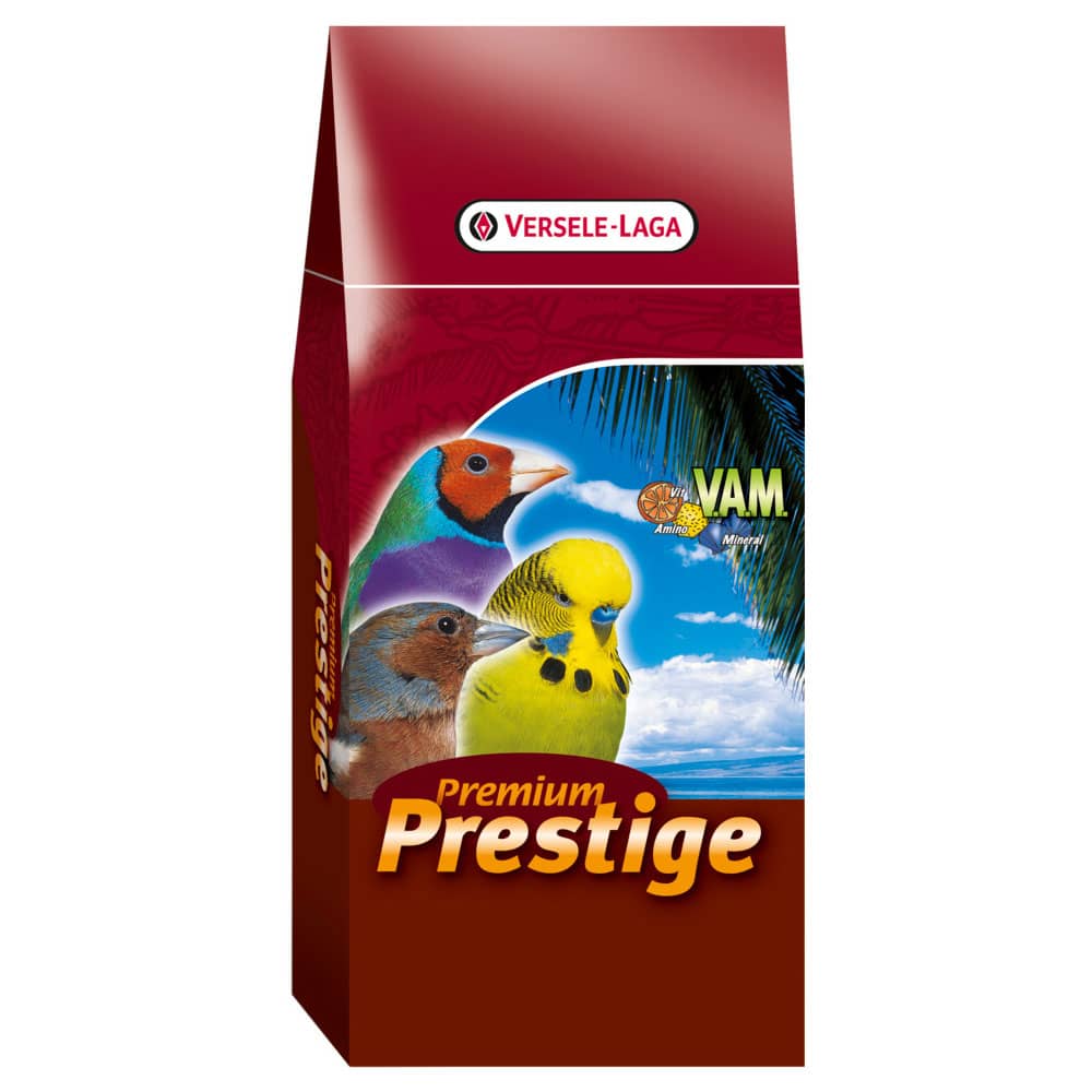 Versele laga outlet budgie prestige