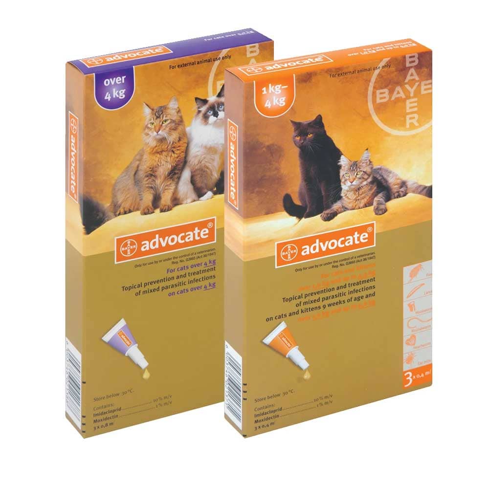 Cat licked best sale advocate flea treatment