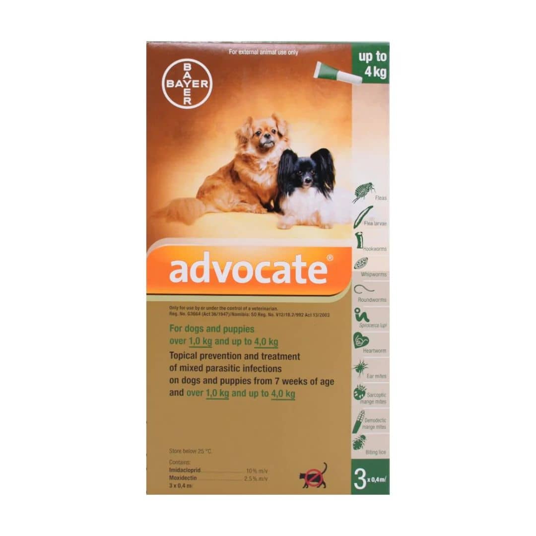 Advocate For Dogs | Pet Hero