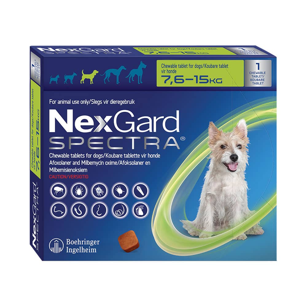 Nexgard Spectra vs Revolution for Dogs