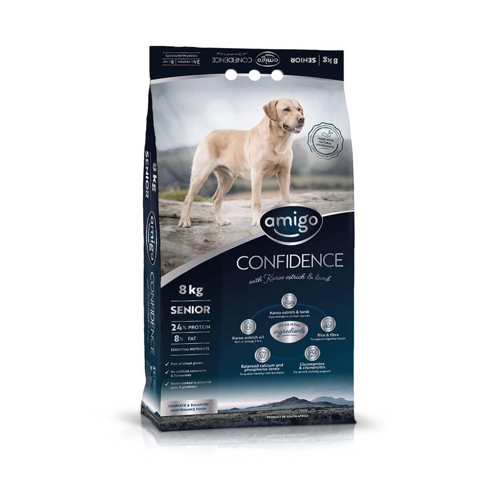 Senior dog food outlet brands